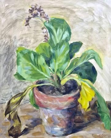 Art work by Nelusco Sarti Fiori  - oil hardboard 
